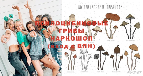 стафф Абаза