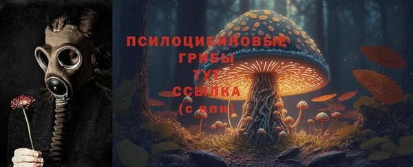 мдпв Семикаракорск