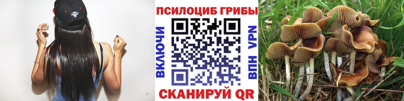 Галлюциногенные грибы мицелий  наркота  Красноармейск 