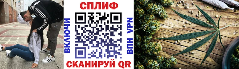 Бошки Шишки MAZAR  дарнет шоп  МЕГА вход  Красноармейск 